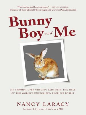 cover image of Bunny Boy and Me